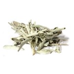 White Sage (Salvia apiana) - 1lb