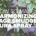 Sage Harmony Spray Recipe Bundle