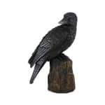 Raven Backwards Facing Statue