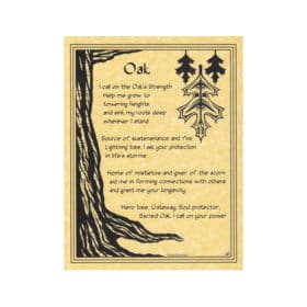 Oak Tree Spirit Chant Poster