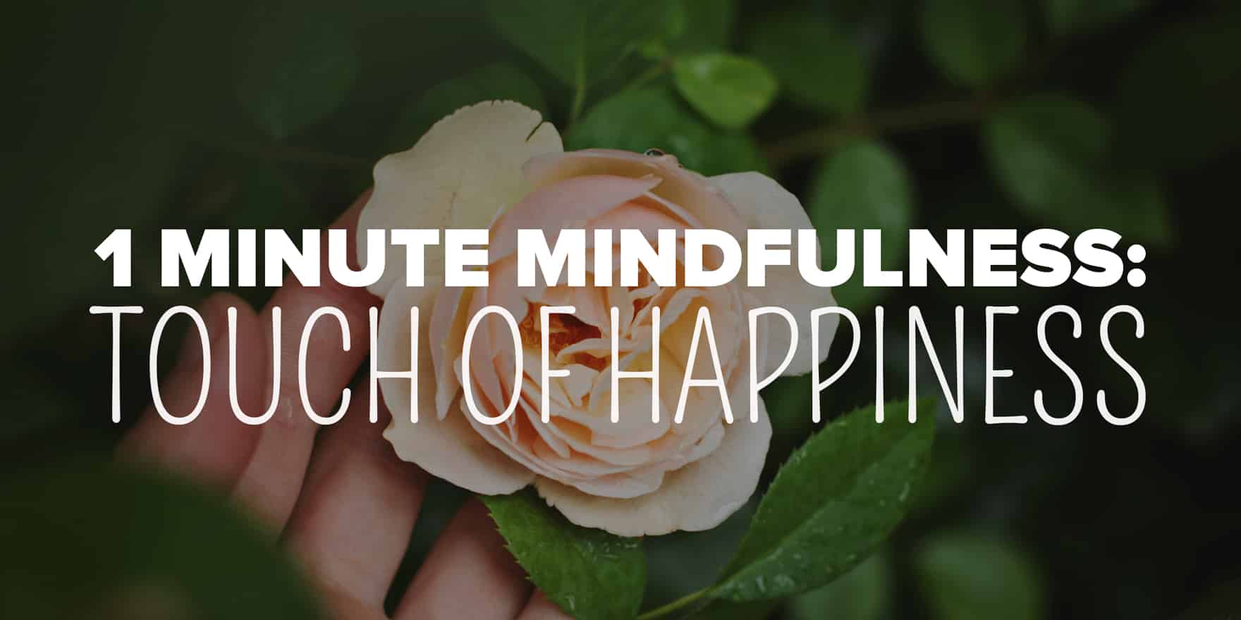 A delicate pale rose amidst lush greenery with the inspiring message: 1 minute mindfulness: touch of happiness for your spiritual journey.