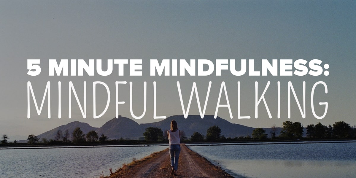 A moment of peaceful reflection: embracing the tranquility of mindful walking amidst the serene landscape, feeling a spiritual connection.