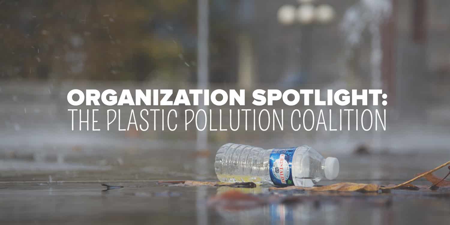 A discarded plastic bottle lies on wet concrete, highlighting the issue of plastic pollution and the efforts of witchy advocacy groups to address it, in this image promoting the plastic pollution coalition.