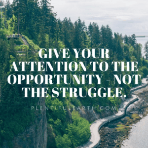 Meditation Quote Gallery 8 A serene, witchy forested coastline with a winding road beside it, overlayed with the inspirational quote: "Give your attention to the opportunity, not the struggle." —plentifulearth