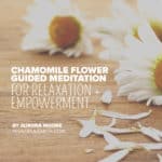 Chamomile Empowerment Guided Meditation by Aurora Moone