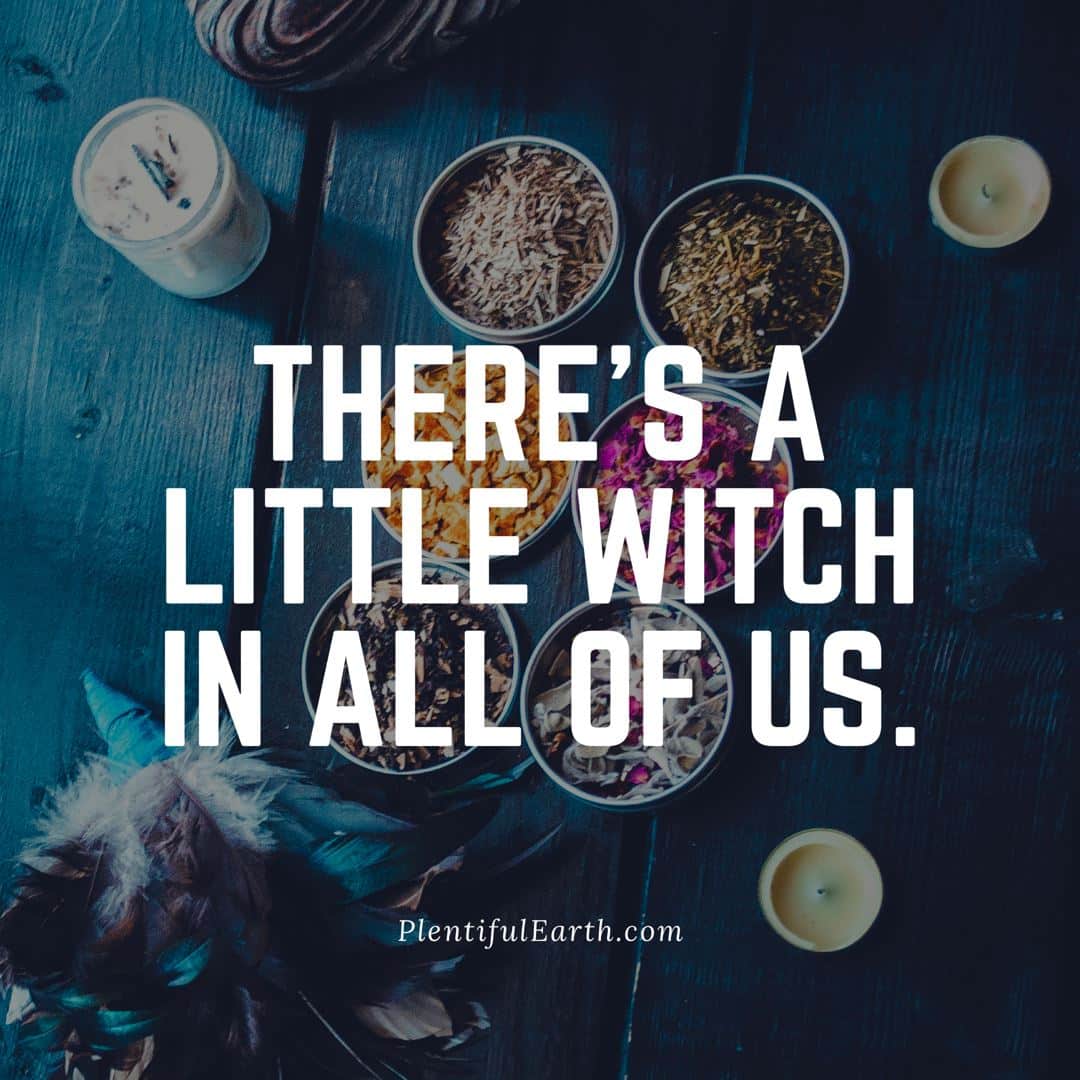 A serene composition of candles and herbs with an inspiring message: "there's a little witch in all of us." - plentifulearth.com, your favorite metaphysical shop.