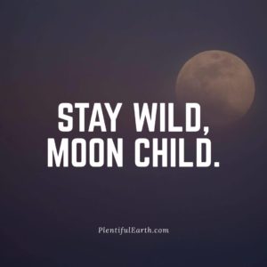 Magical Witch Quotes for Empowerment, Wisdom & Inspiration 36 Embrace the night's magic with a restless spirit, oh child of the lunar glow. Uncover spiritual wonders at our metaphysical shop.
