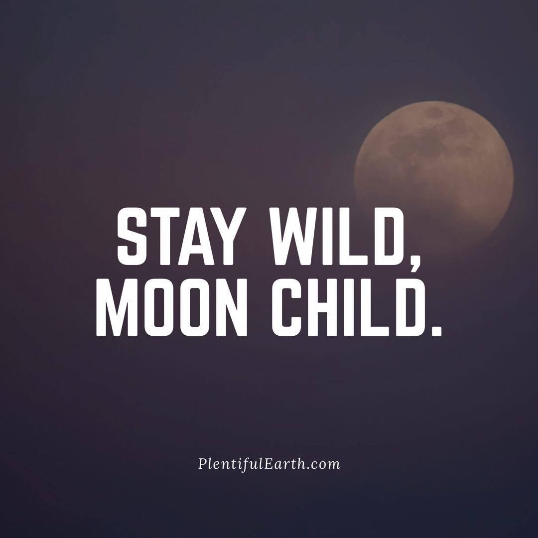 Stay Wild, Moon Child Quote