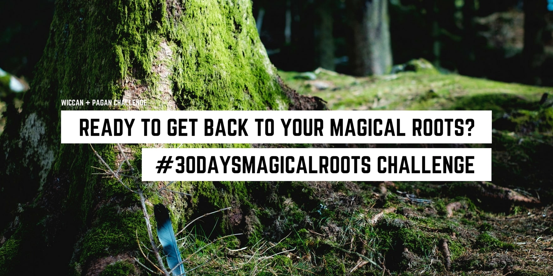 Embrace nature's enchantment: dive into the #30daysmagicalroots challenge and rediscover your mystical heritage amidst serene woodland whispers. Unveil your metaphysical connections in this spiritual journey.