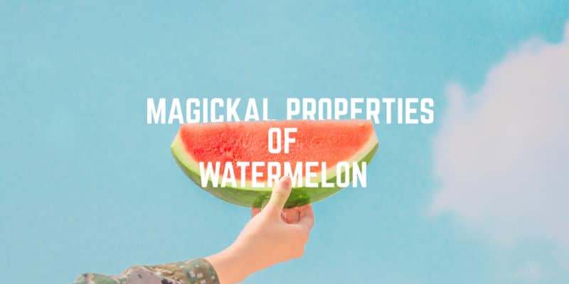 Magickal Properties of Watermelon | Watermelon Materia Magicka 5 Balancing summer's sweetness on a fingertip – explore the metaphysical qualities of watermelon.