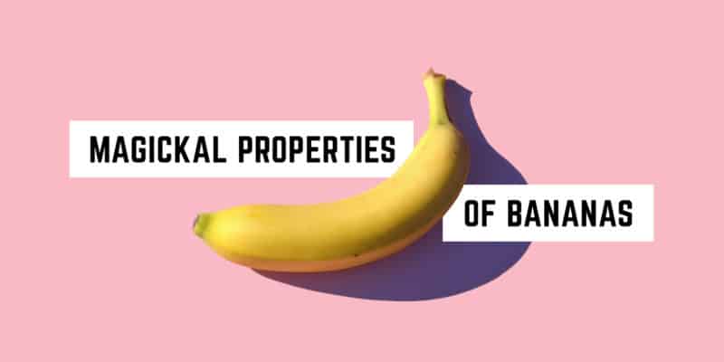Magickal Correspondences of Bananas | Witch Herb Materia Magicka 4 A single ripe banana on a pink background with the whimsical text "metaphysical shop presents: magickal properties of bananas" overlaying the image, suggesting a playful look at the fruit’s