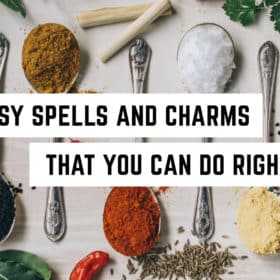 50 Easy Spells and Charms that You can do Right Now 64 Assorted spices and herbs neatly arranged on a table with text overlay: "50 easy spells and charms that you can do right now for your spiritual journey.