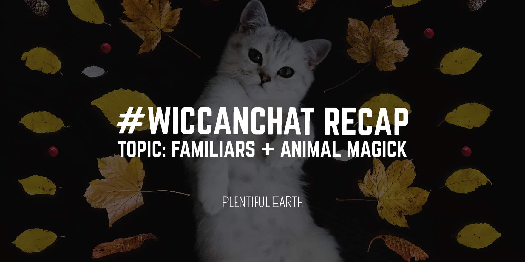 A cute white cat surrounded by autumn leaves, with the text "#wiccanchat recap - topic: familiars + animal magick" by Plentiful Earth, your favorite metaphysical shop.
