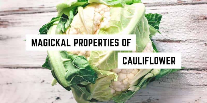 Magickal Correspondences of Cauliflower | Cauliflower Materia Magicka 3 Fresh cauliflower head, now considered a metaphysical new age product, on a rustic wooden background.