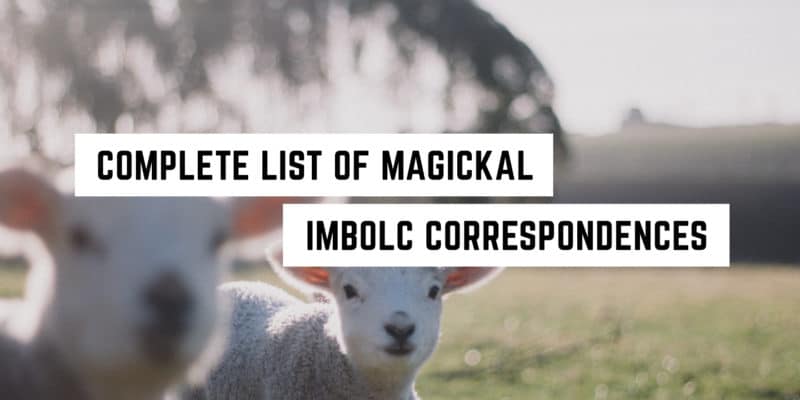 Imbolc Magickal Correspondences 3 Embracing the early signs of spring: celebrating Imbolc with the spiritual presence of lambs.
