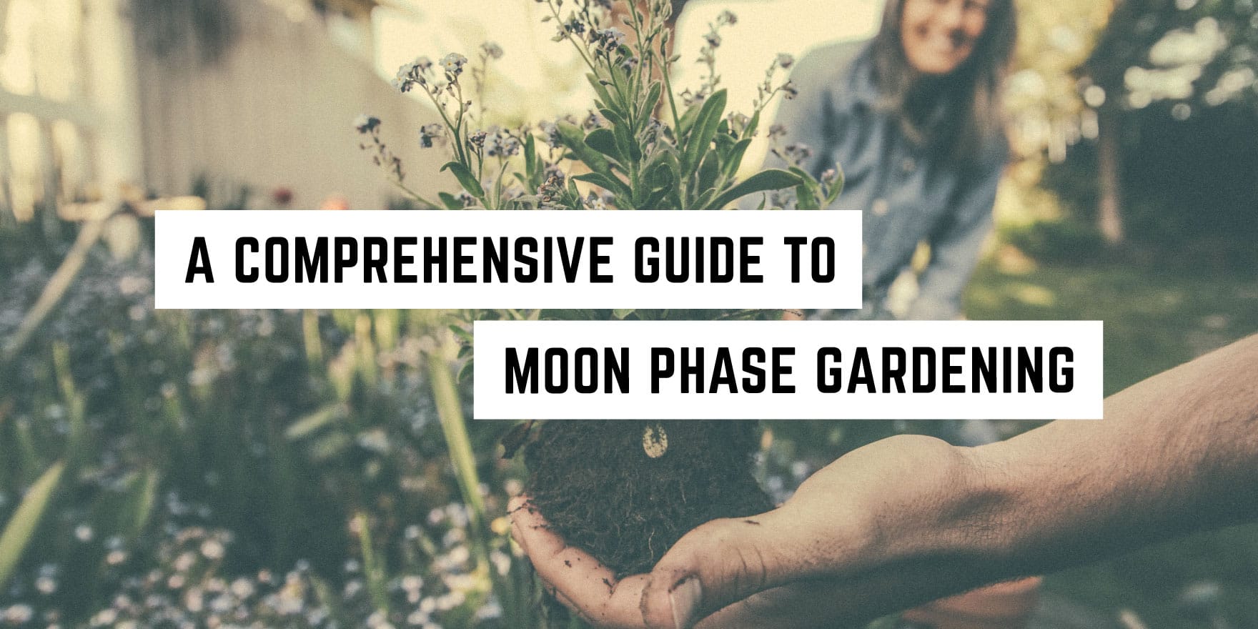 Nurturing nature: embracing the lunar cycle in your garden with metaphysical insights.