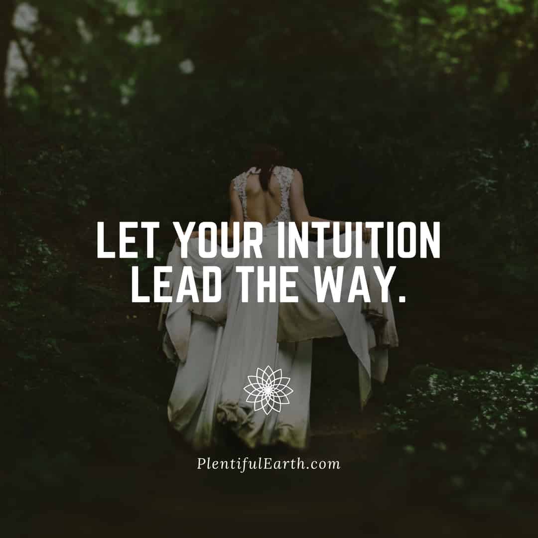 A serene moment in nature: a woman in white, with hands covering her eyes, symbolizes inner guidance accompanied by the inspiring words "let your intuition lead the way." - plentifulearth