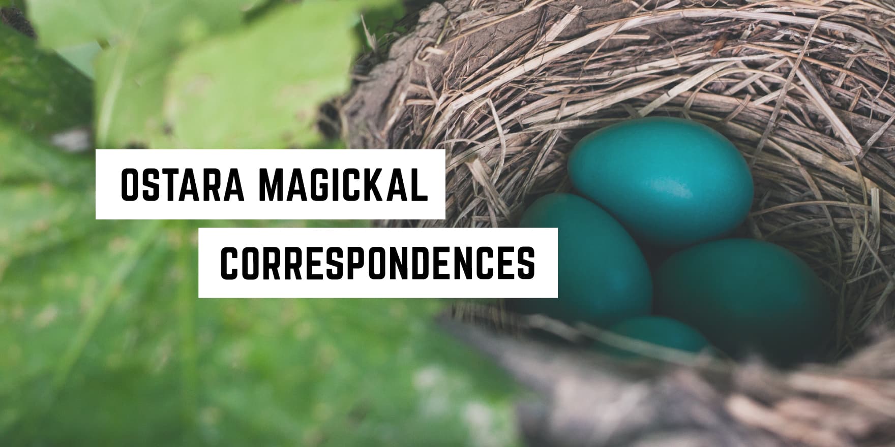 Three vibrant blue eggs nestled in a natural bird's nest among green foliage, with the caption "Ostara metaphysical correspondences" overlaying the image.