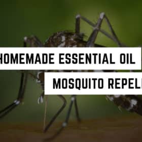Diy homemade essential oil mosquito repellent from a metaphysical shop.