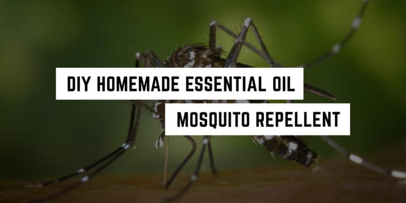 DIY Homemade Essential Oil Mosquito Repellent