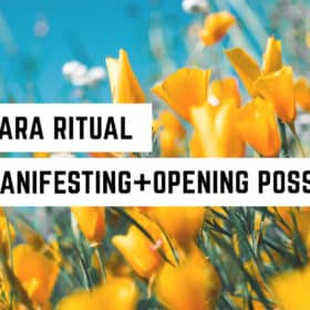 Ostara Ritual for Manifestation + Open Possibilities 2018 61 A vibrant field of yellow flowers under a clear blue sky with text overlay "2018 ostara ritual for manifesting + opening possibilities" indicating a themed event or celebration related to the spring equinox,