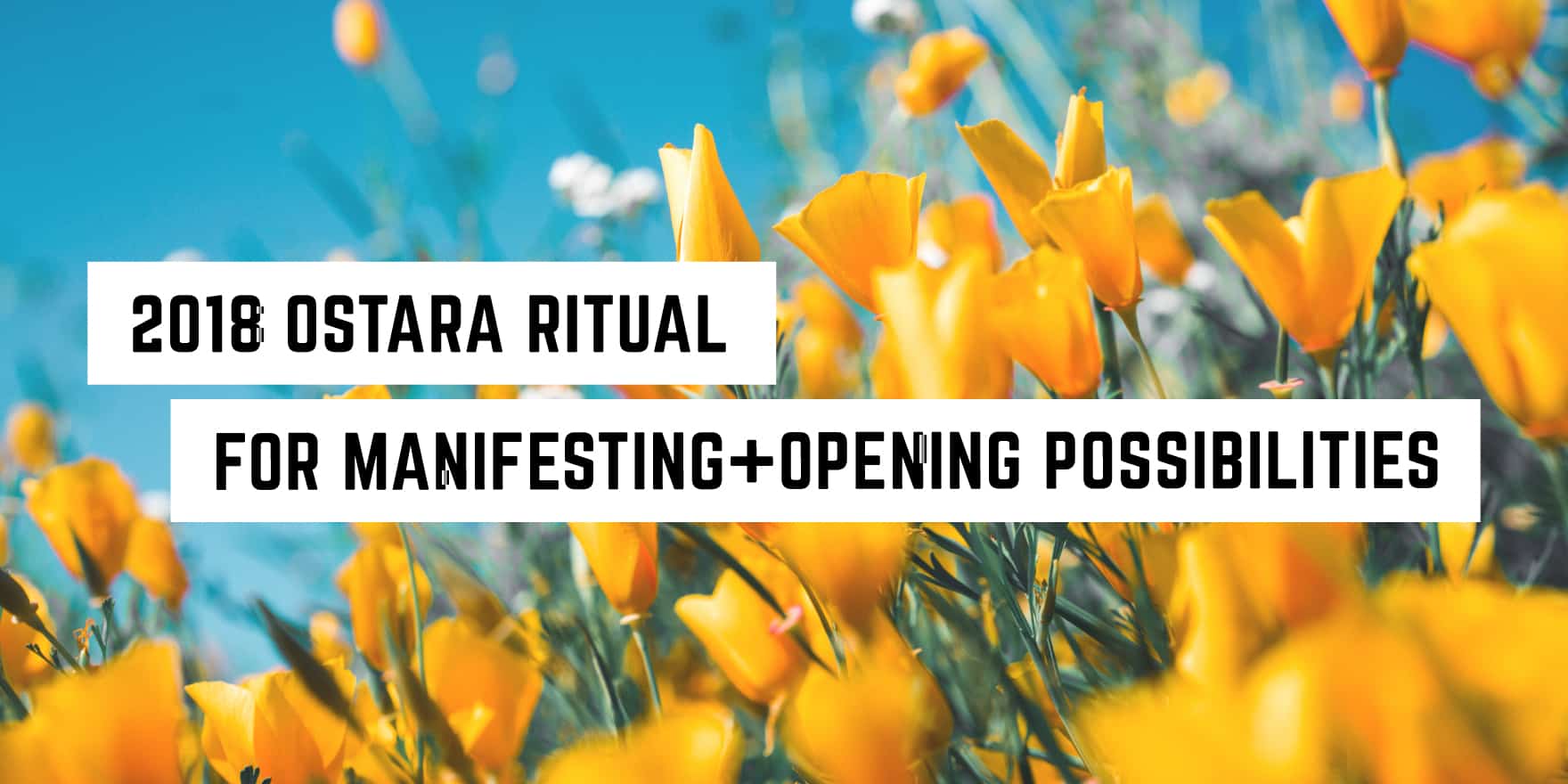 A vibrant field of yellow flowers under a clear blue sky with text overlay "2018 ostara ritual for manifesting + opening possibilities" indicating a themed event or celebration related to the spring equinox,