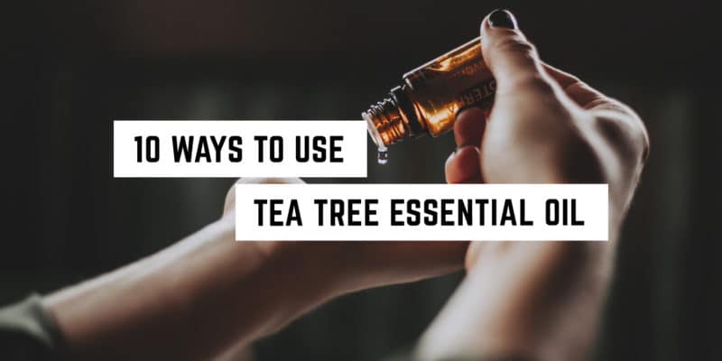 10 Ways to Use Tea Tree Essential Oil 1 Discover the versatility: 10 uses for tea tree essential oil in your metaphysical shop.