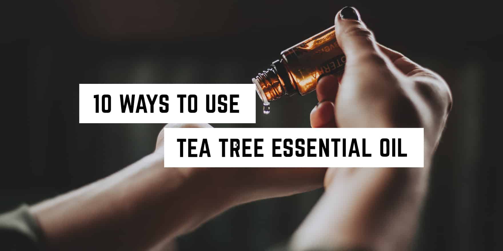 Discover the versatility: 10 uses for tea tree essential oil in your metaphysical shop.