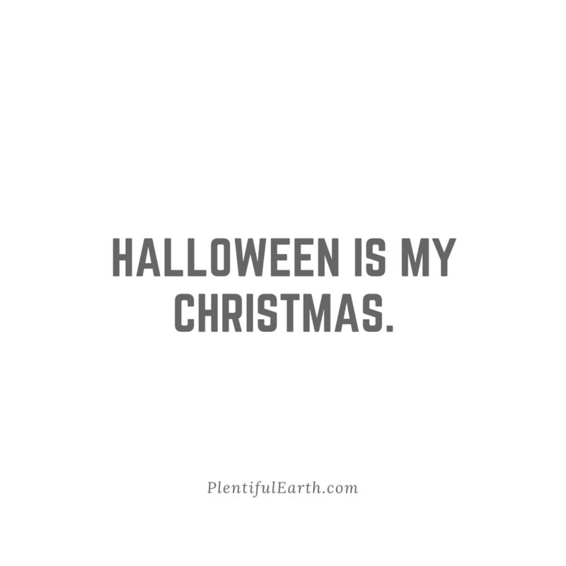 Halloween enthusiasm encapsulated: 'halloween is my Christmas, thriving in a witchy metaphysical shop.'