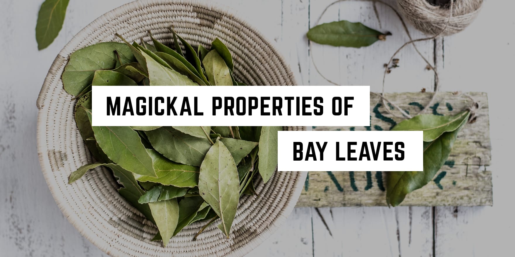 Exploring the enchanting and spiritual uses of bay leaves in folklore and natural healing.