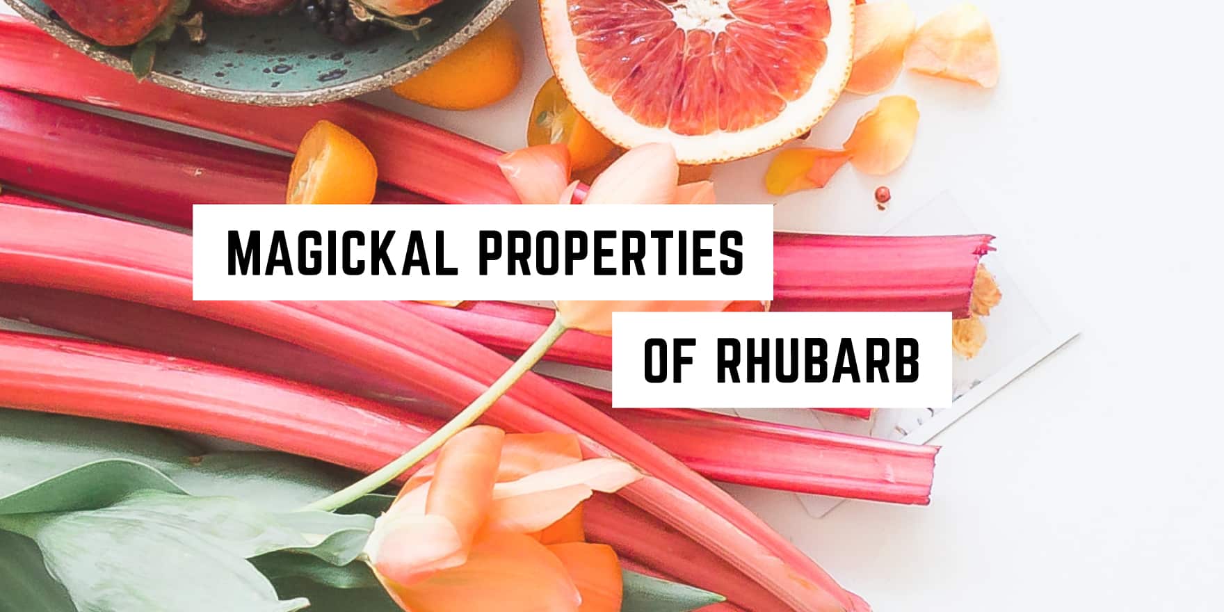 An array of fresh produce including rhubarb, citrus, and nuts arranged with a label boasting "occult properties of rhubarb" in a metaphysical shop.