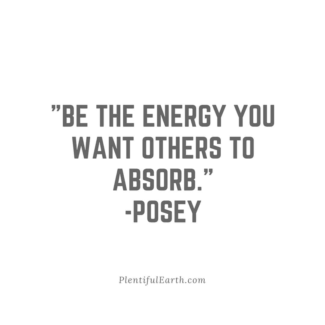 Be the spiritual energy you want to absorb." - posey.