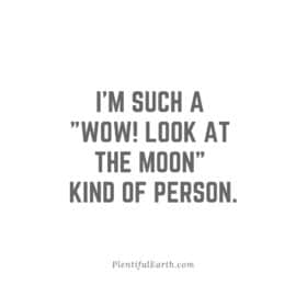 I’m such a “Wow! Look at the Moon” kind of person Quote