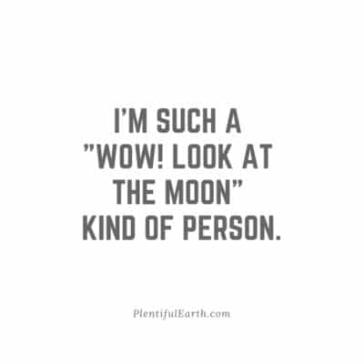 Magical Witch Quotes for Empowerment, Wisdom & Inspiration 64 A reflective and witchy soul's confession, framed in quotes: "I'm such a 'wow! look at the moon' kind of person." - plentifulearth.com.