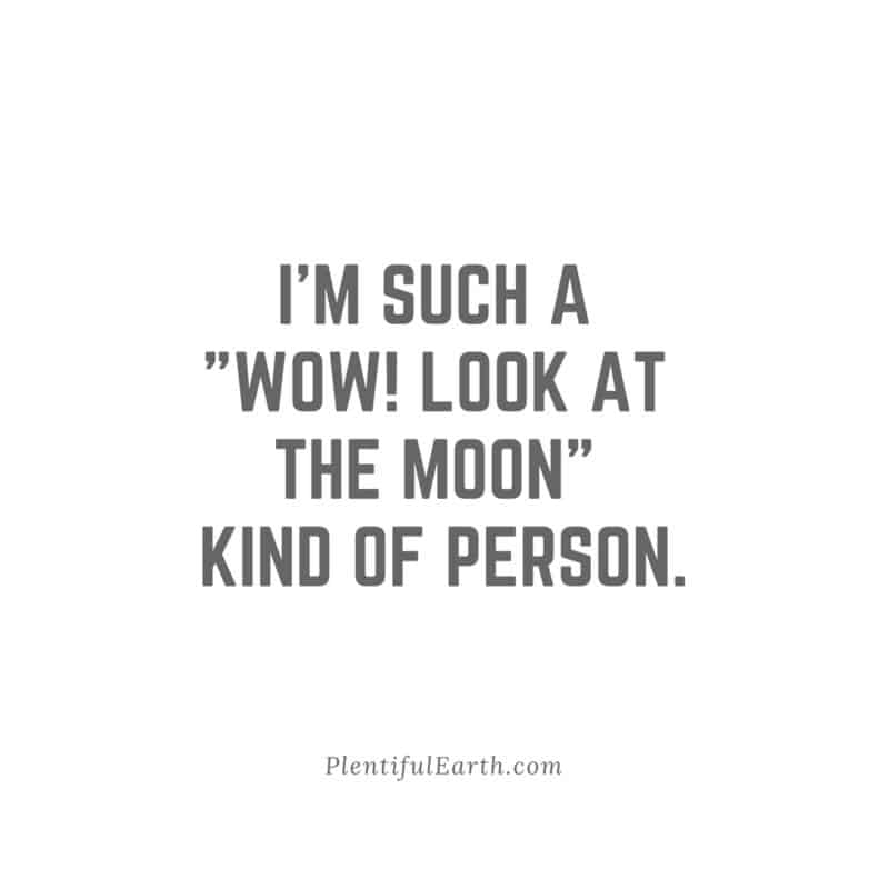 A reflective and witchy soul's confession, framed in quotes: "I'm such a 'wow! look at the moon' kind of person." - plentifulearth.com.
