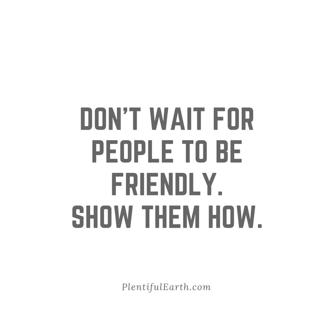 Motivational quote on a plain background: 'Don't wait for people to be friendly in the metaphysical shop. Show them how.' - plentifulearth.com.