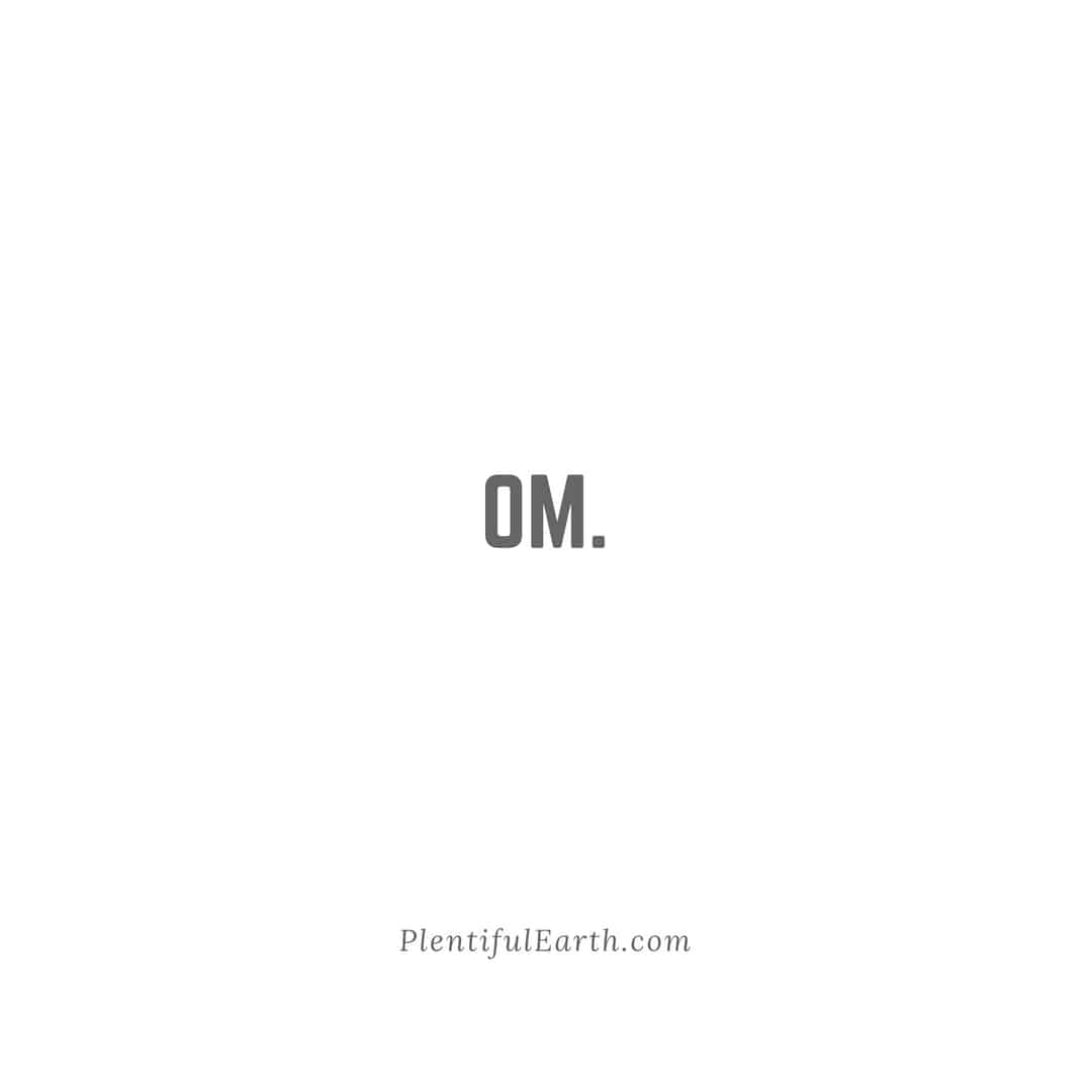 A minimalist, metaphysical image featuring the word "om." centered on a plain white background, with the source "plentifulearth.com" at the bottom.