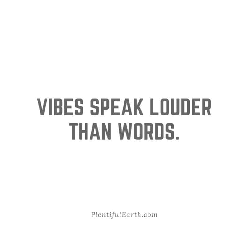 Vibes speak louder than words" - a minimalist motivational quote on a plain background, emphasizing the power of non-verbal and spiritual communication.
