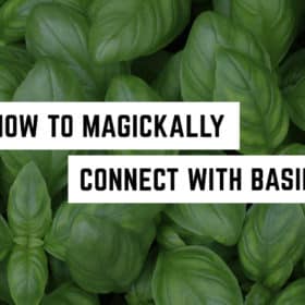 A fresh spread of lush basil leaves with a caption: how to metaphysically connect with basil.