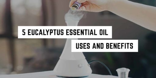 person adding eucalyptus essential oil to an electric diffuser