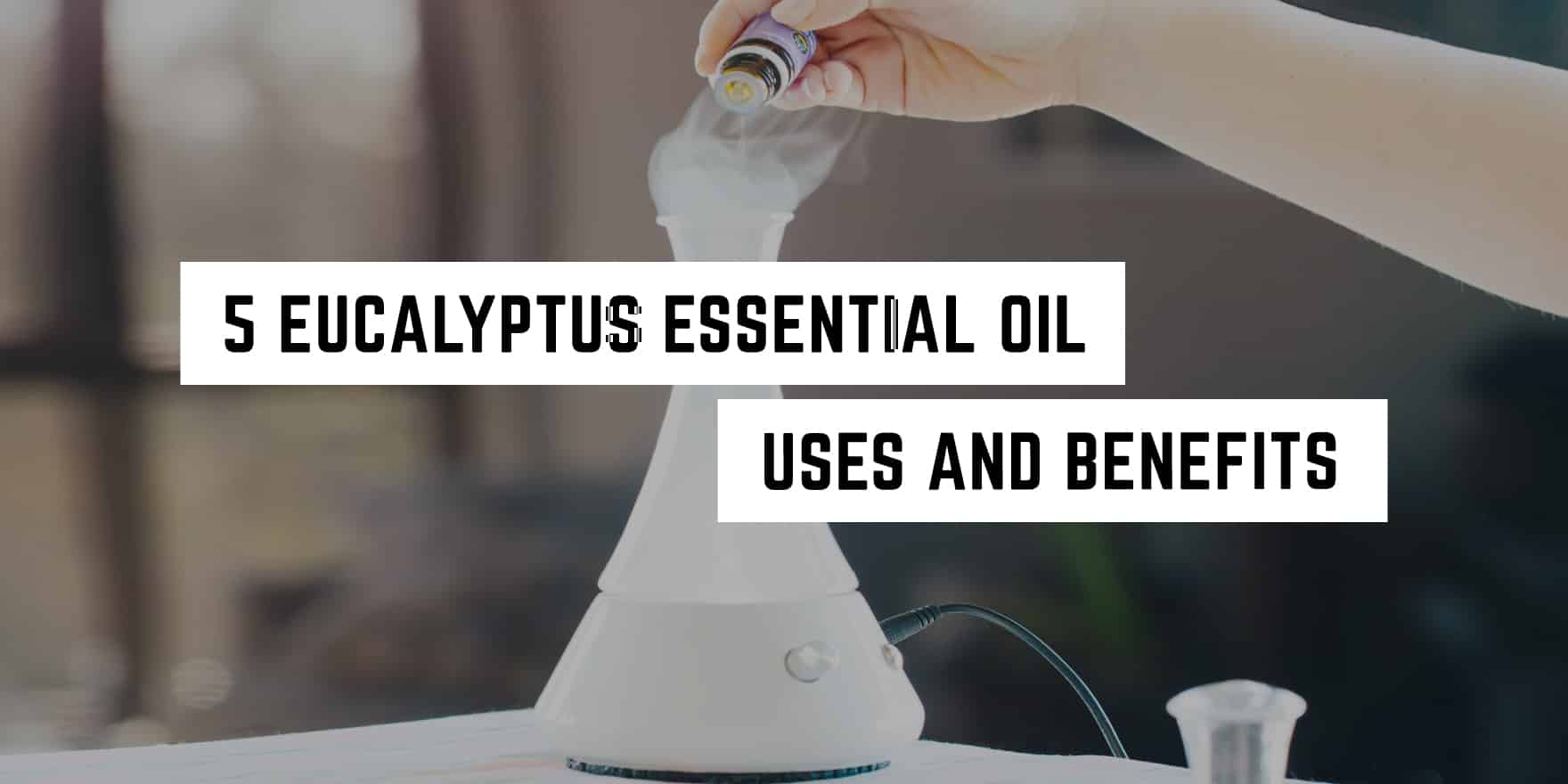 A bottle of essential oil being poured into a diffuser with text overlay "5 witchy eucalyptus essential oil uses and benefits".