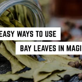 8 Ways to Use Bay Leaves in Magick 50 Discover the enchantment: 8 simple rituals with bay leaves for your metaphysical practice.