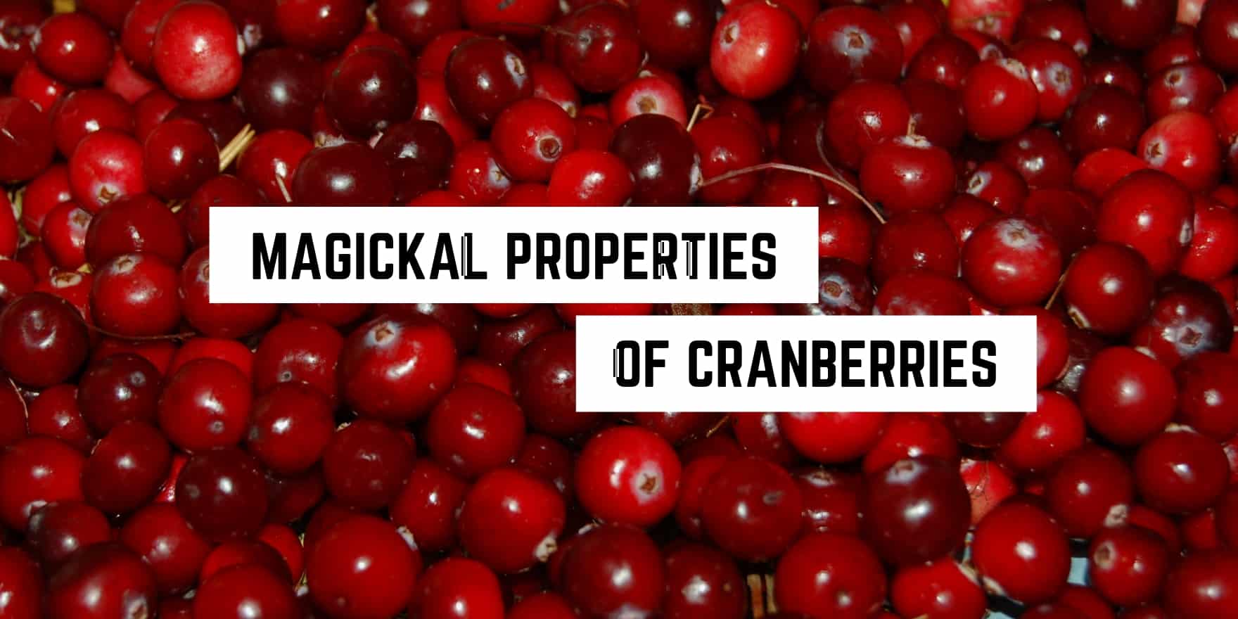 Magickal Correspondences of Cranberries