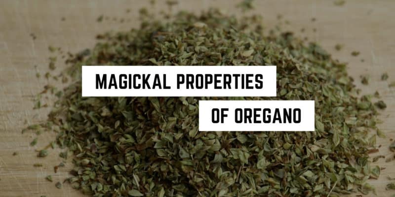 Magickal Correspondences of Oregano 2 A pile of dried oregano on a wooden surface with a caption that reads "occult properties of oregano.