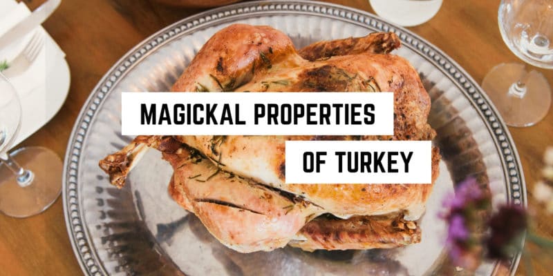 Magickal Correspondences of Turkey 9 A well-roasted turkey on a serving platter with the text "witchy magickal properties of turkey" overlaying the image.