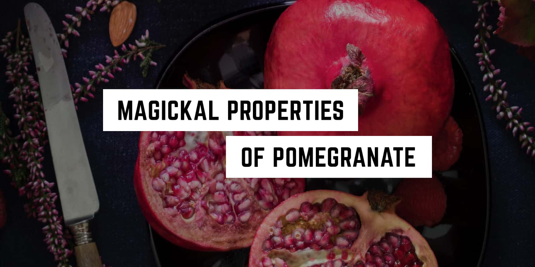 Pomegranate: unveil the witchy enchantment within.