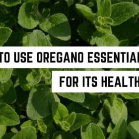 A bed of fresh oregano leaves with the text overlay "15 spiritual ways to use oregano essential oil for its health benefits.