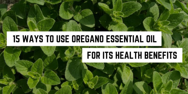 15 Ways to Use Oregano Essential Oil for its Health Benefits 1 A bed of fresh oregano leaves with the text overlay "15 spiritual ways to use oregano essential oil for its health benefits.