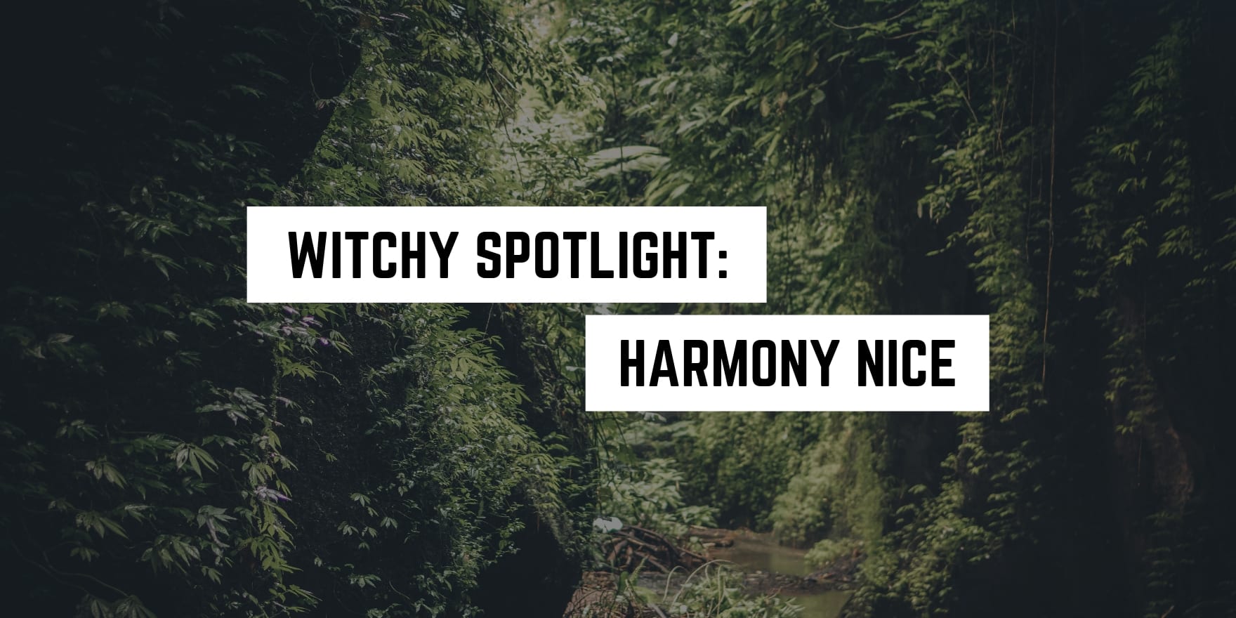 A serene forest pathway enveloped by lush greenery, highlighted as the backdrop for a feature titled "witchy spotlight: harmony nice" in a popular metaphysical shop's spiritual newsletter.
