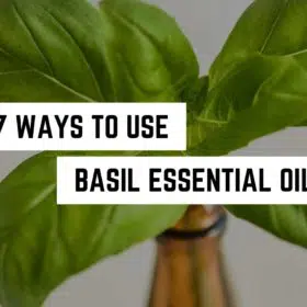 A sprouting basil plant emerging from a bottle with a caption "7 ways to use basil essential oil in metaphysical practices" against a neutral background.